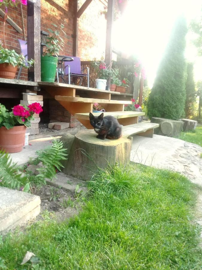 Bed and Breakfast Sloneczna Weranda Wydminy Exterior foto